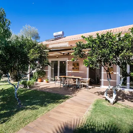 Rigilis By Vintage Travel *