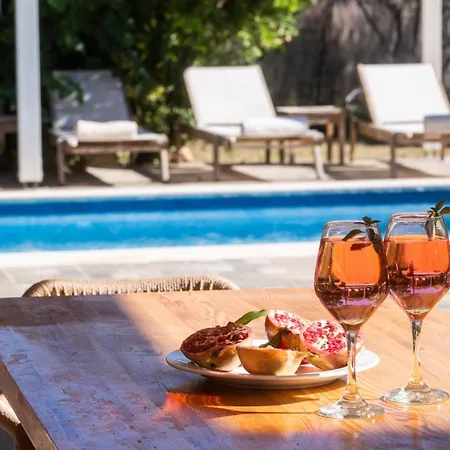 Rigilis By Vintage Travel * ニドリ