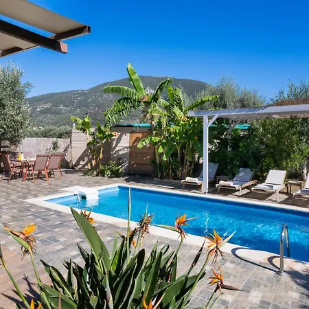 Rigilis By Vintage Travel